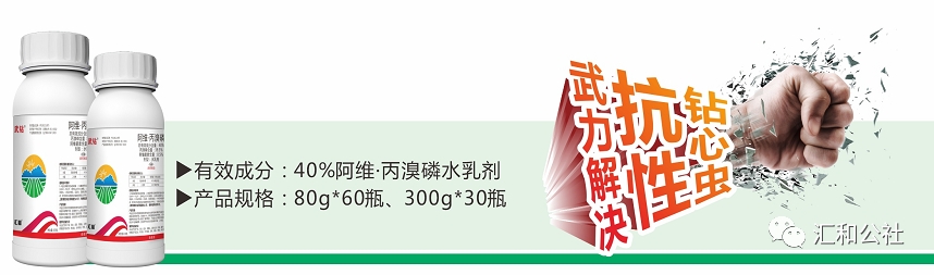 e484186a3dac3fa4a36b81adf11d6ee9.jpg
